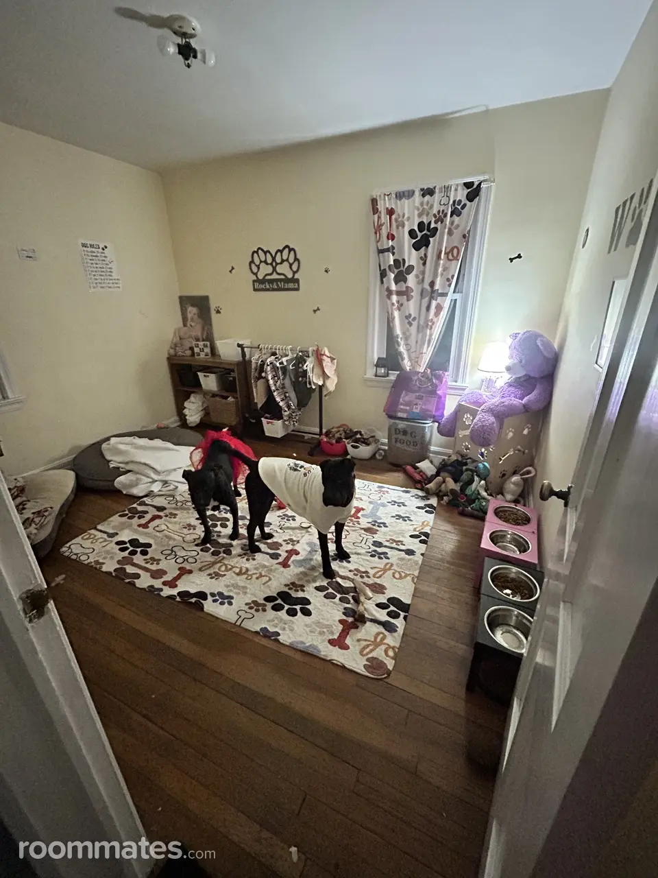 Profile photo 4 of 9