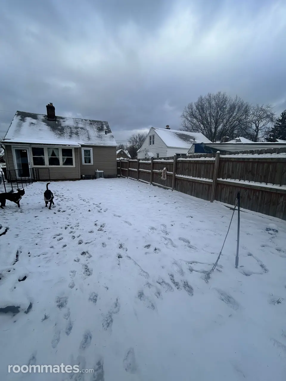 Profile photo 7 of 9