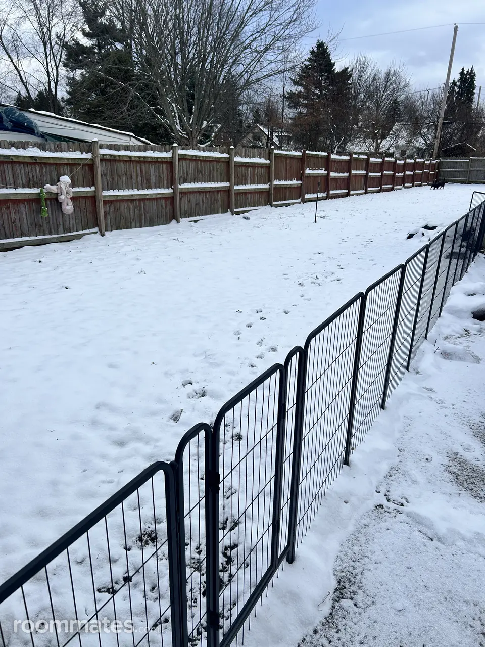 Profile photo 5 of 9