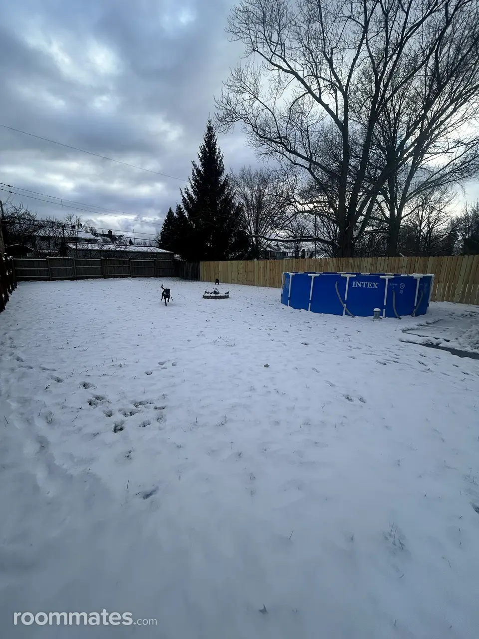 Profile photo 8 of 9