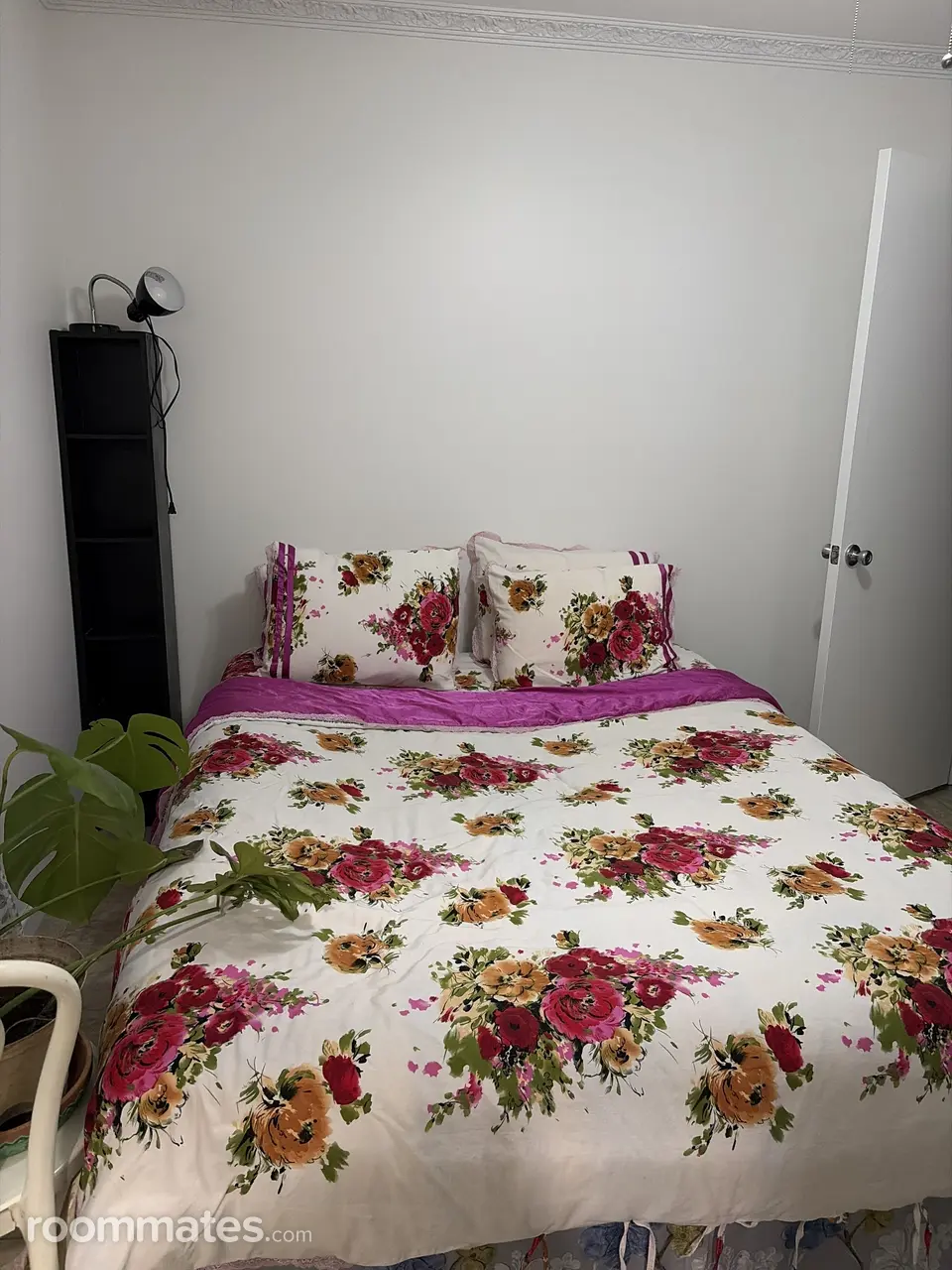 Profile photo 5 of 5