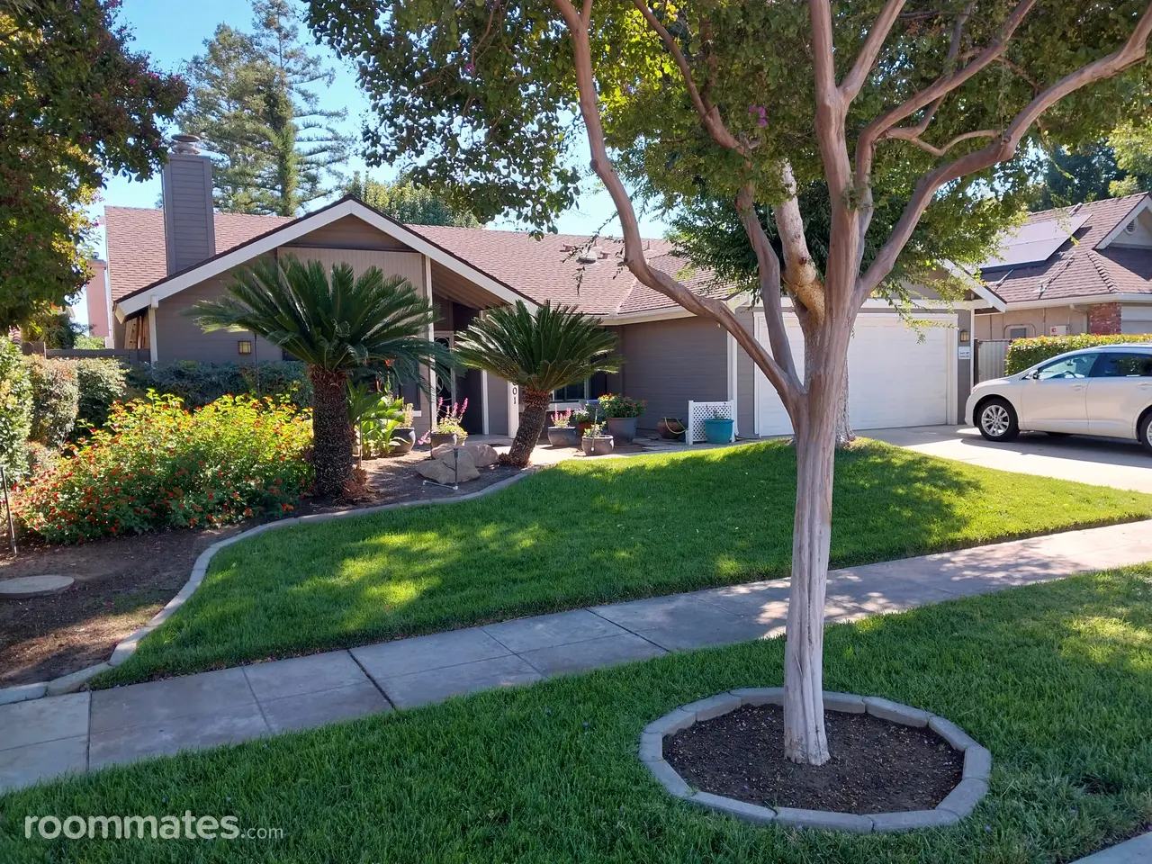 Profile photo 7 of 11