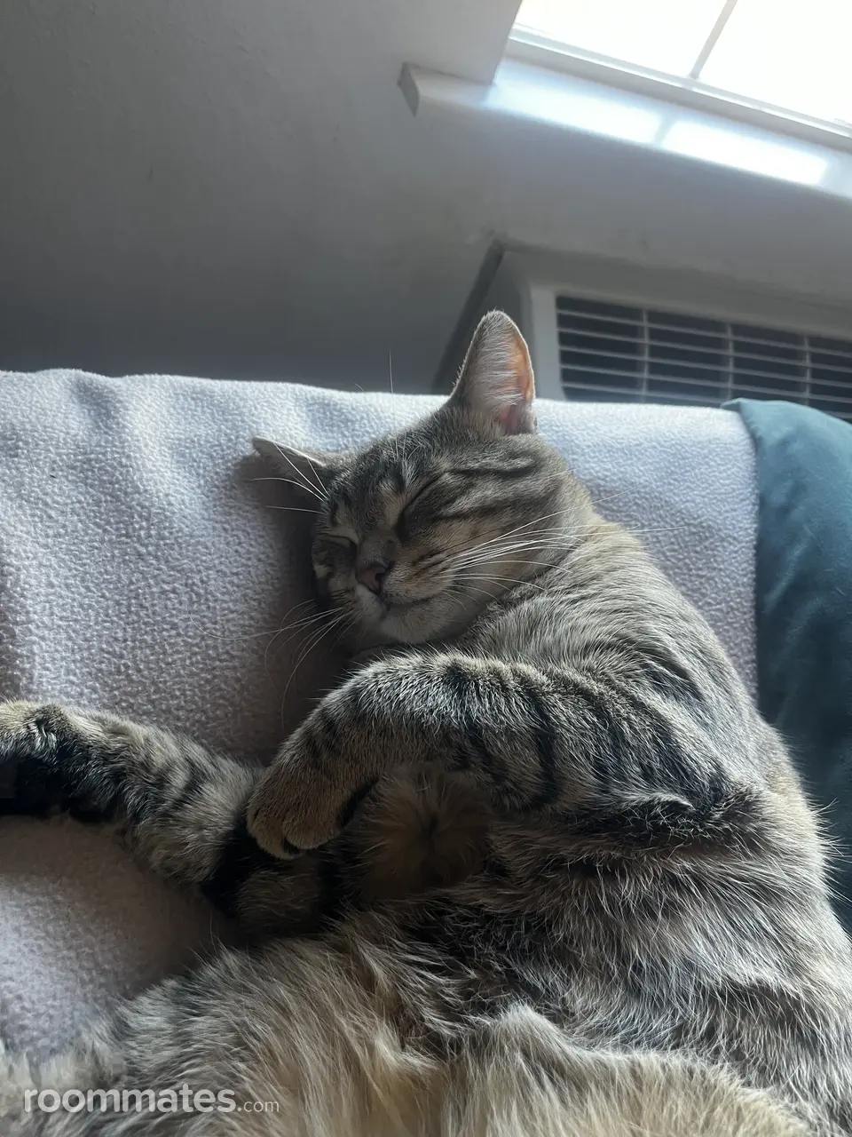 Profile photo 1 of 1