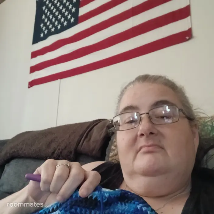 Roommate looking Roseville, MI, $500