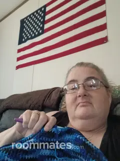 Roommate looking Roseville, MI, $500