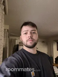 Roommate looking Boise, ID, $800