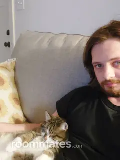 Roommate looking Edwardsville, IL, $700