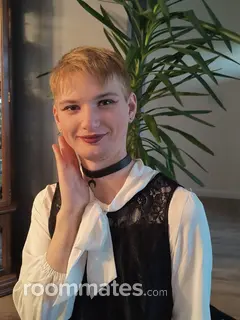 Roommate looking Vancouver, WA, $900