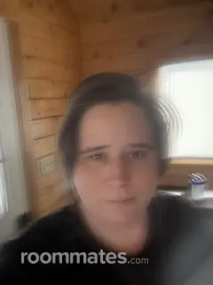 Roommate looking Albuquerque, NM, $700