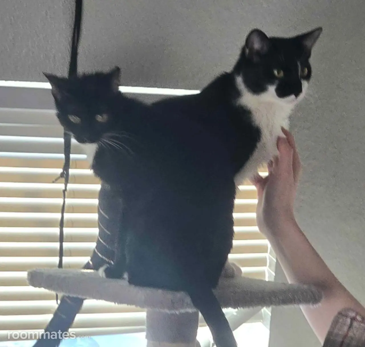 Profile photo 2 of 5