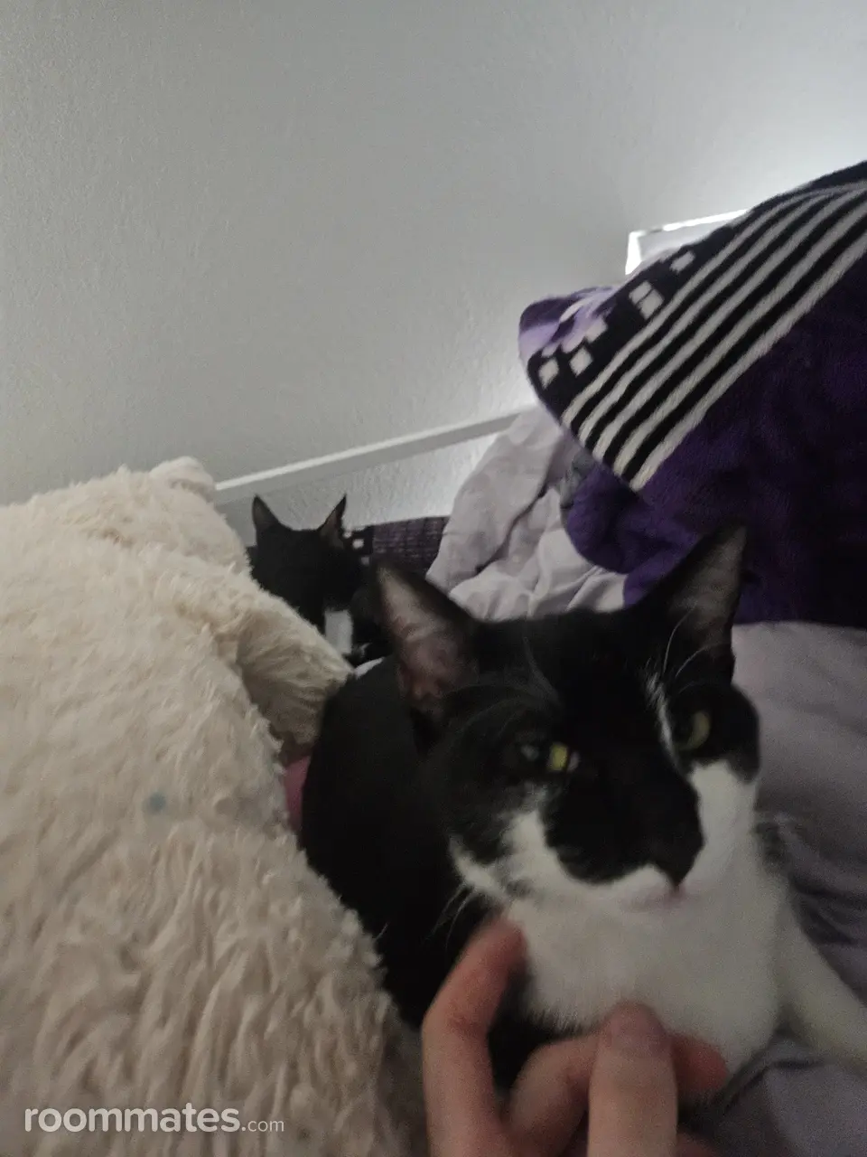 Profile photo 5 of 5