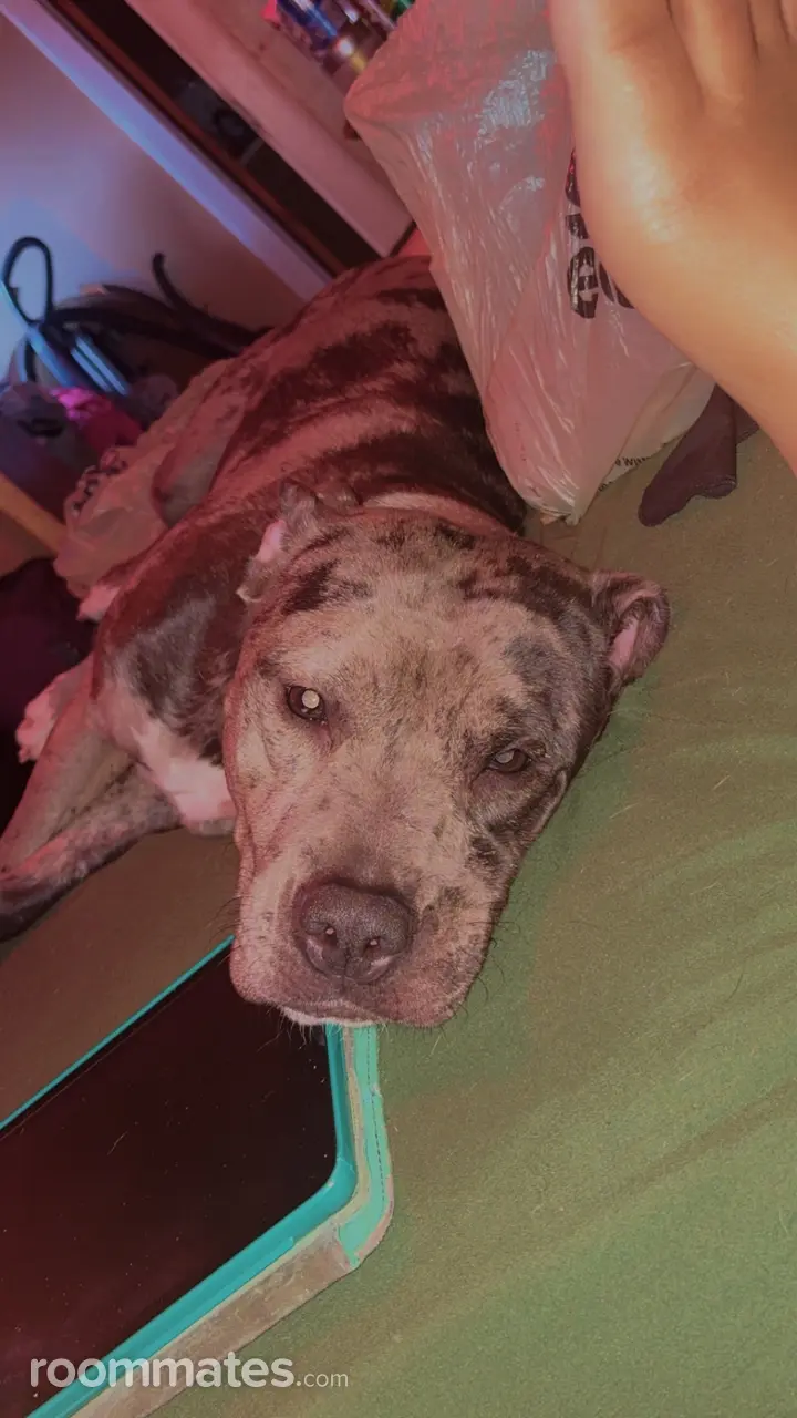 Profile photo 2 of 4