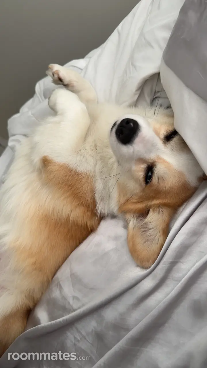 Profile photo 8 of 11