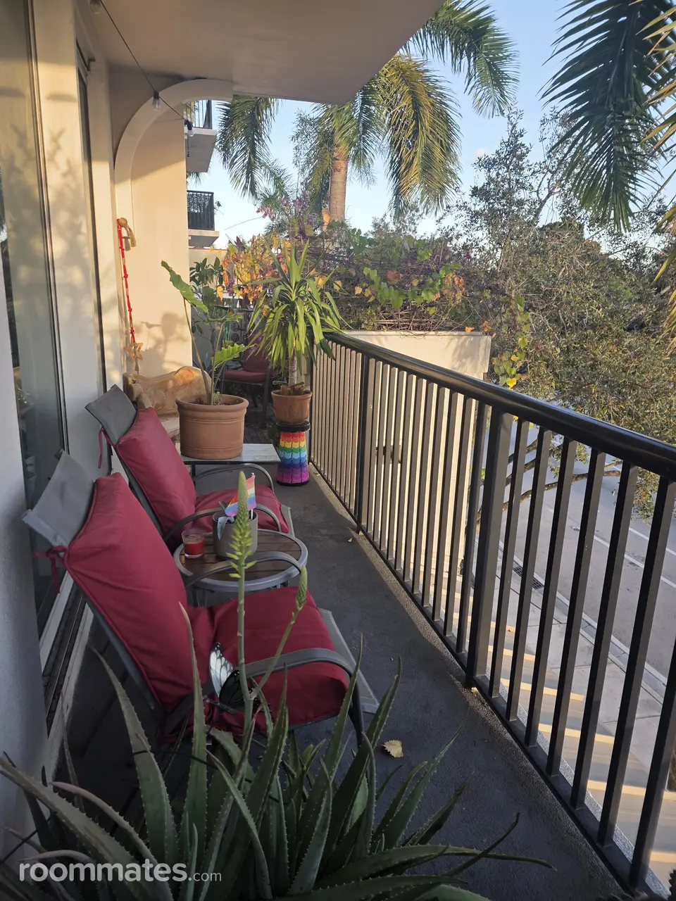 Profile photo 3 of 12