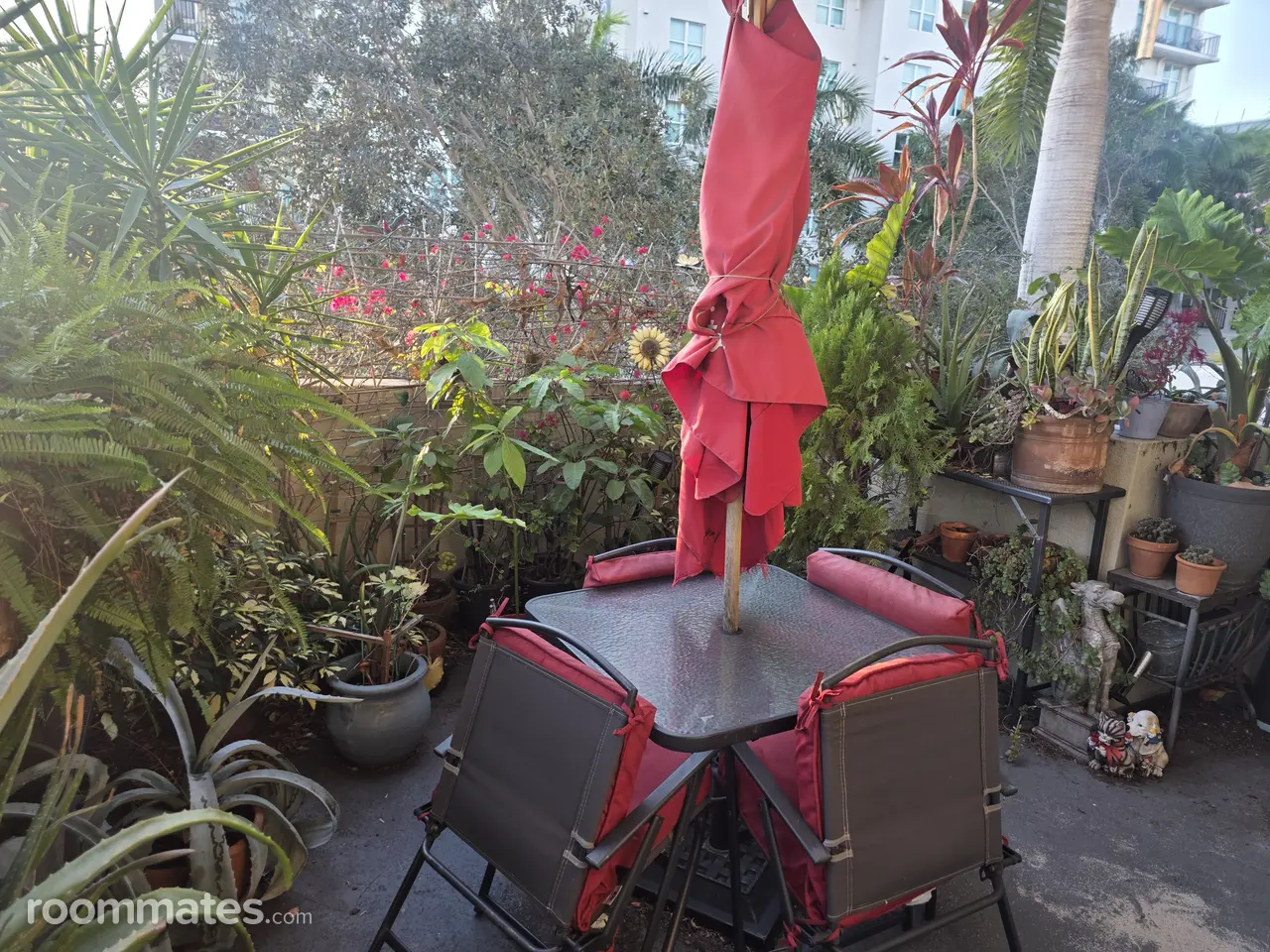 Profile photo 4 of 12