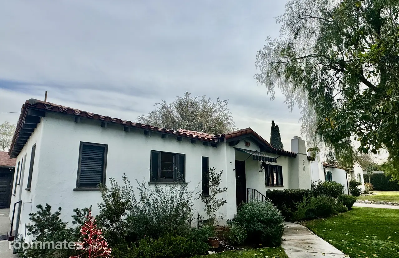 Profile photo 2 of 11