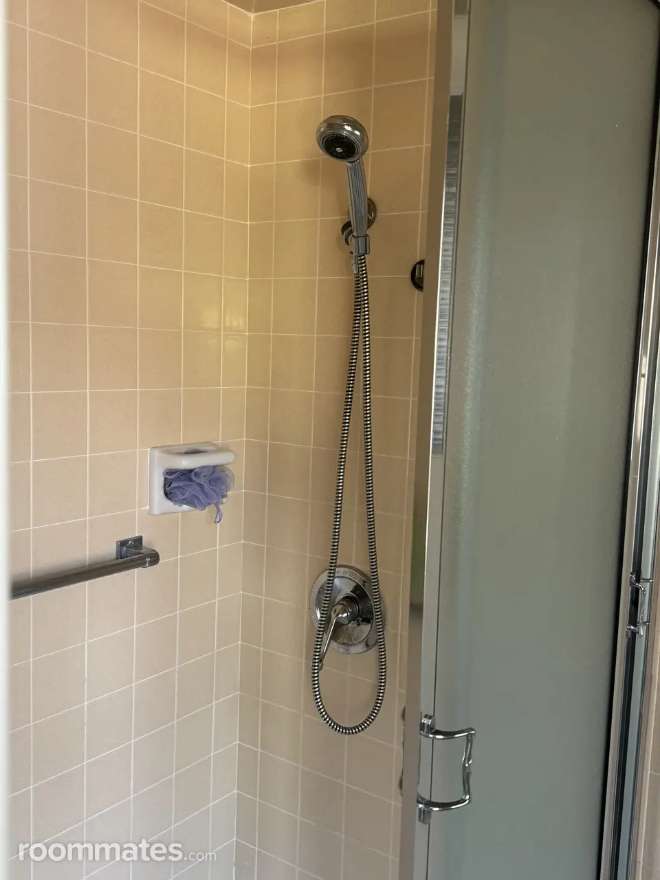 Profile photo 7 of 11