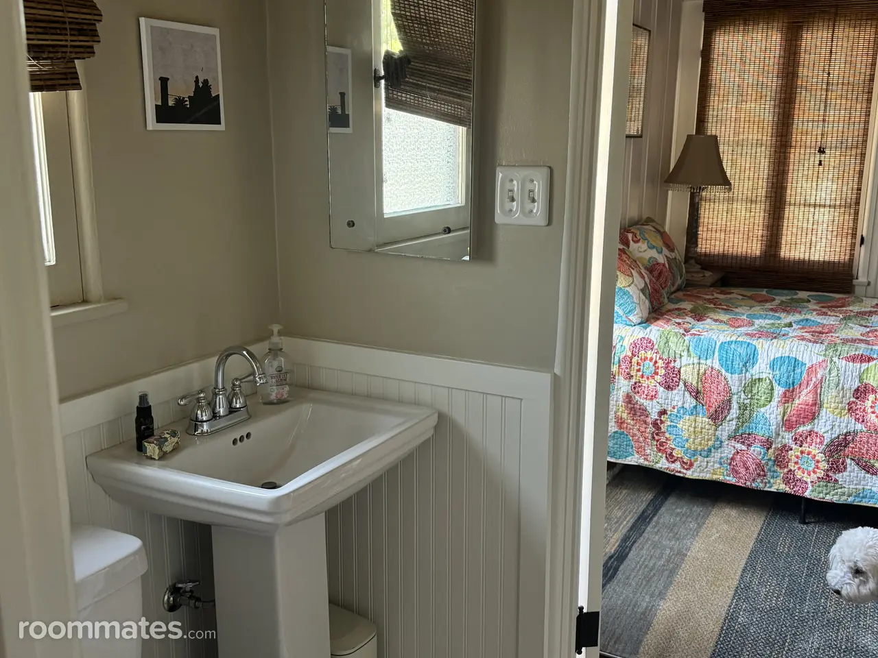 Profile photo 5 of 11