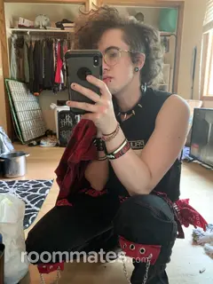 Roommate looking Minneapolis, MN, $600