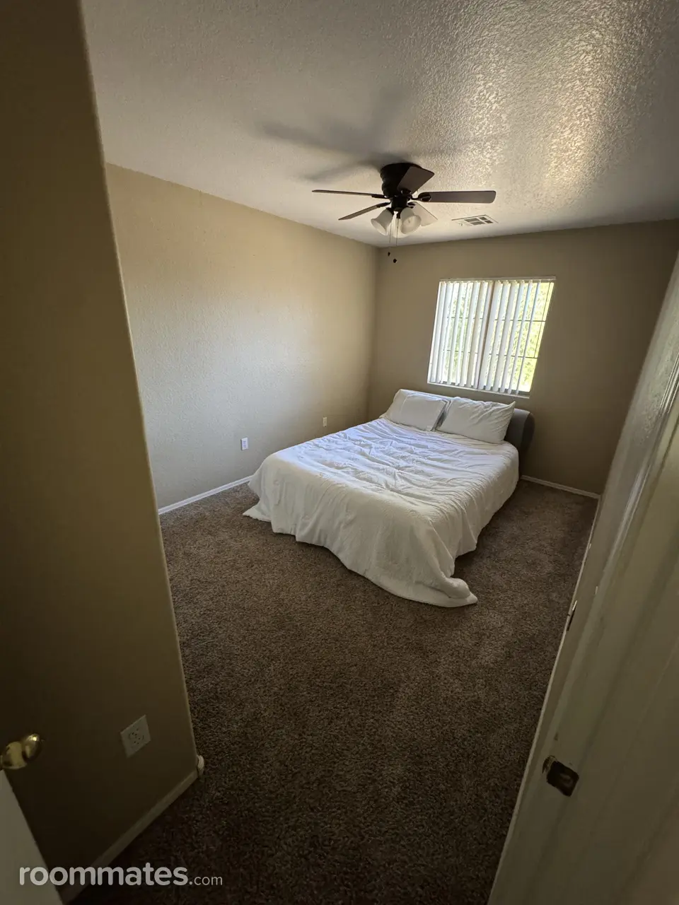 Profile photo 8 of 12