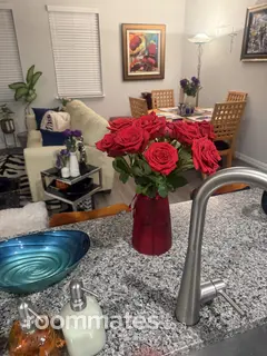 Room for rent in Arlington, TX $1300, house