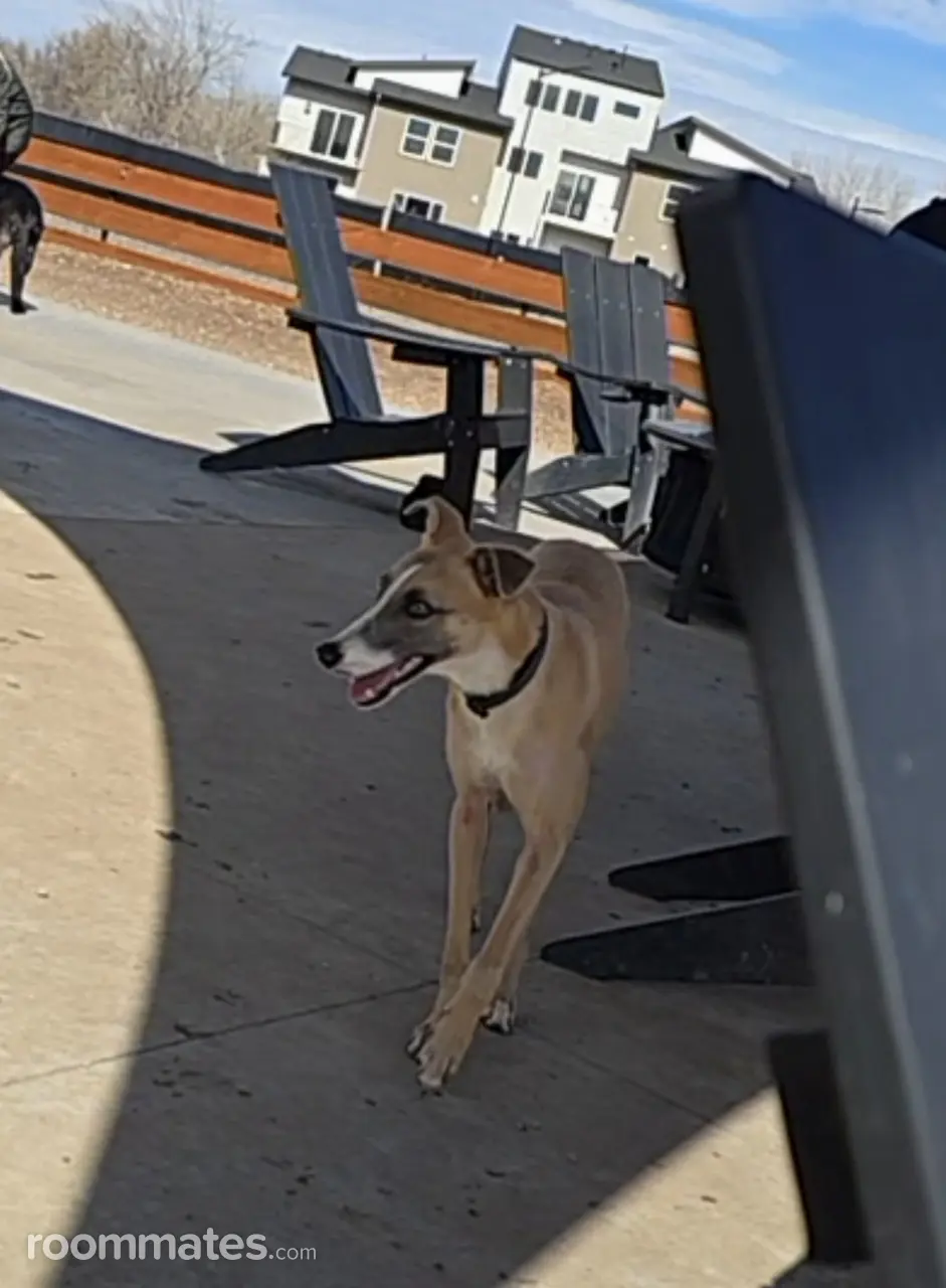 Profile photo 6 of 7