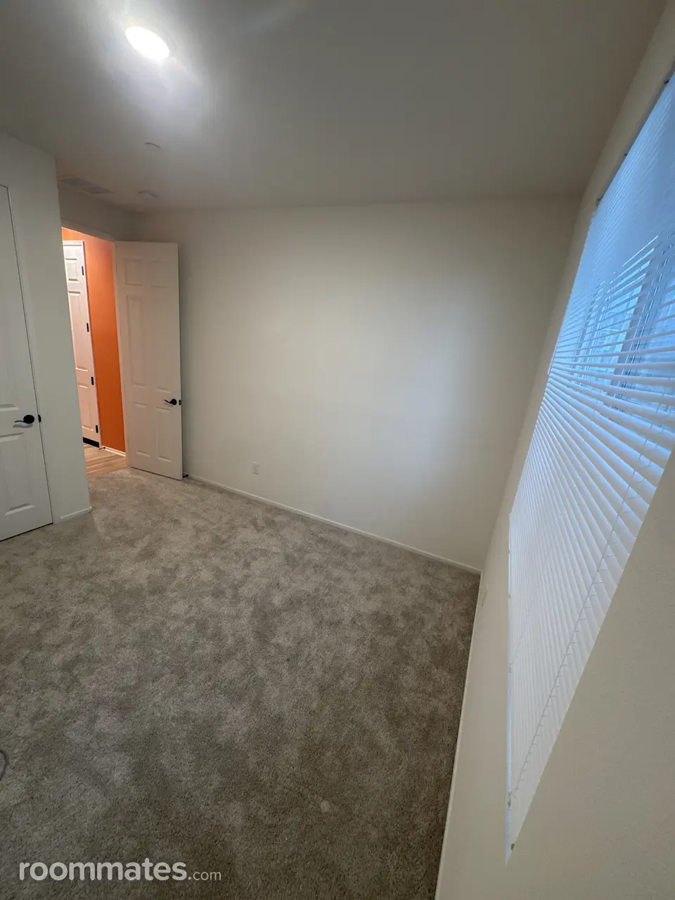 Profile photo 10 of 11