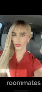 Roommate looking Houston, TX, $500