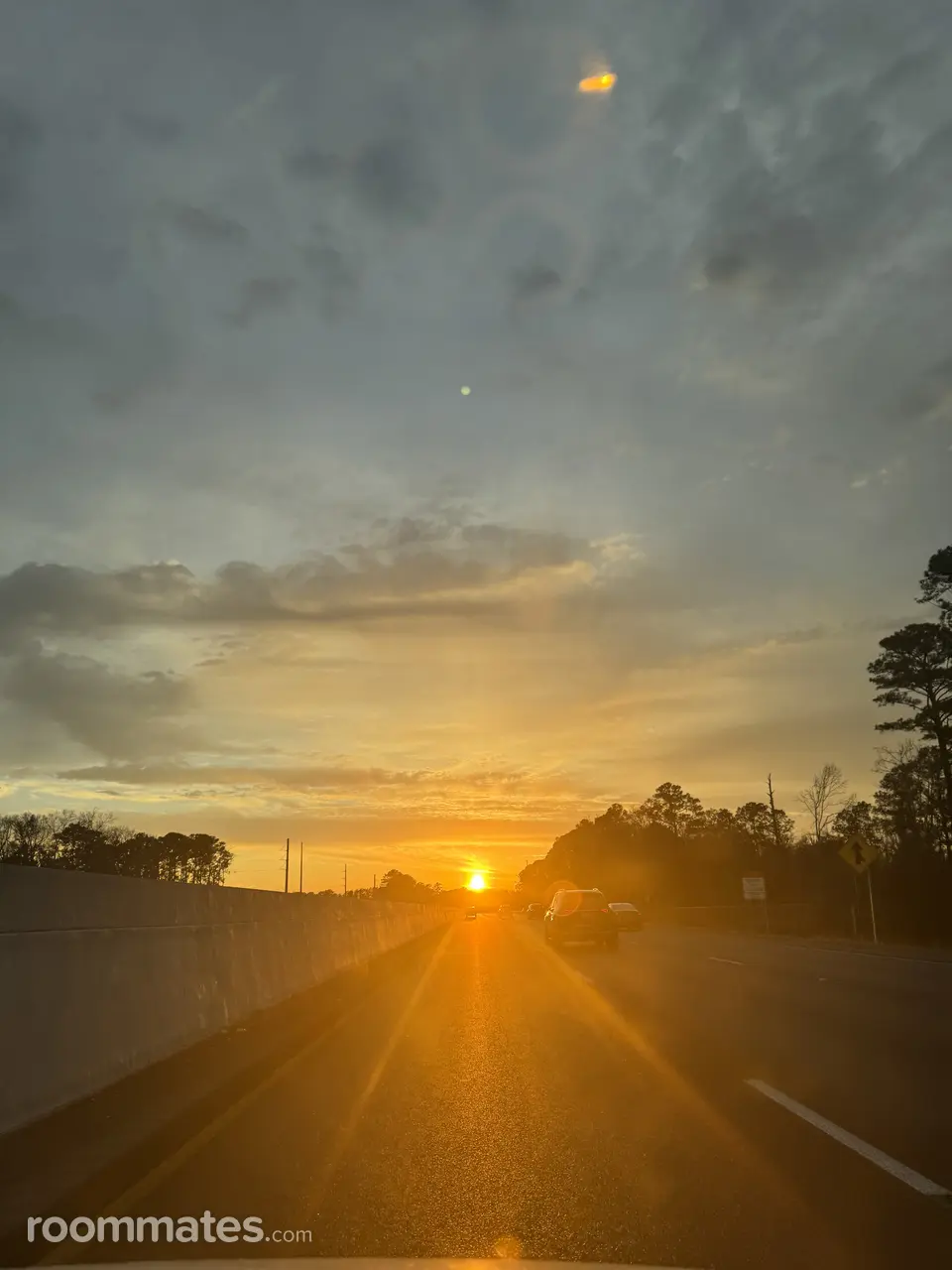 Profile photo 1 of 1