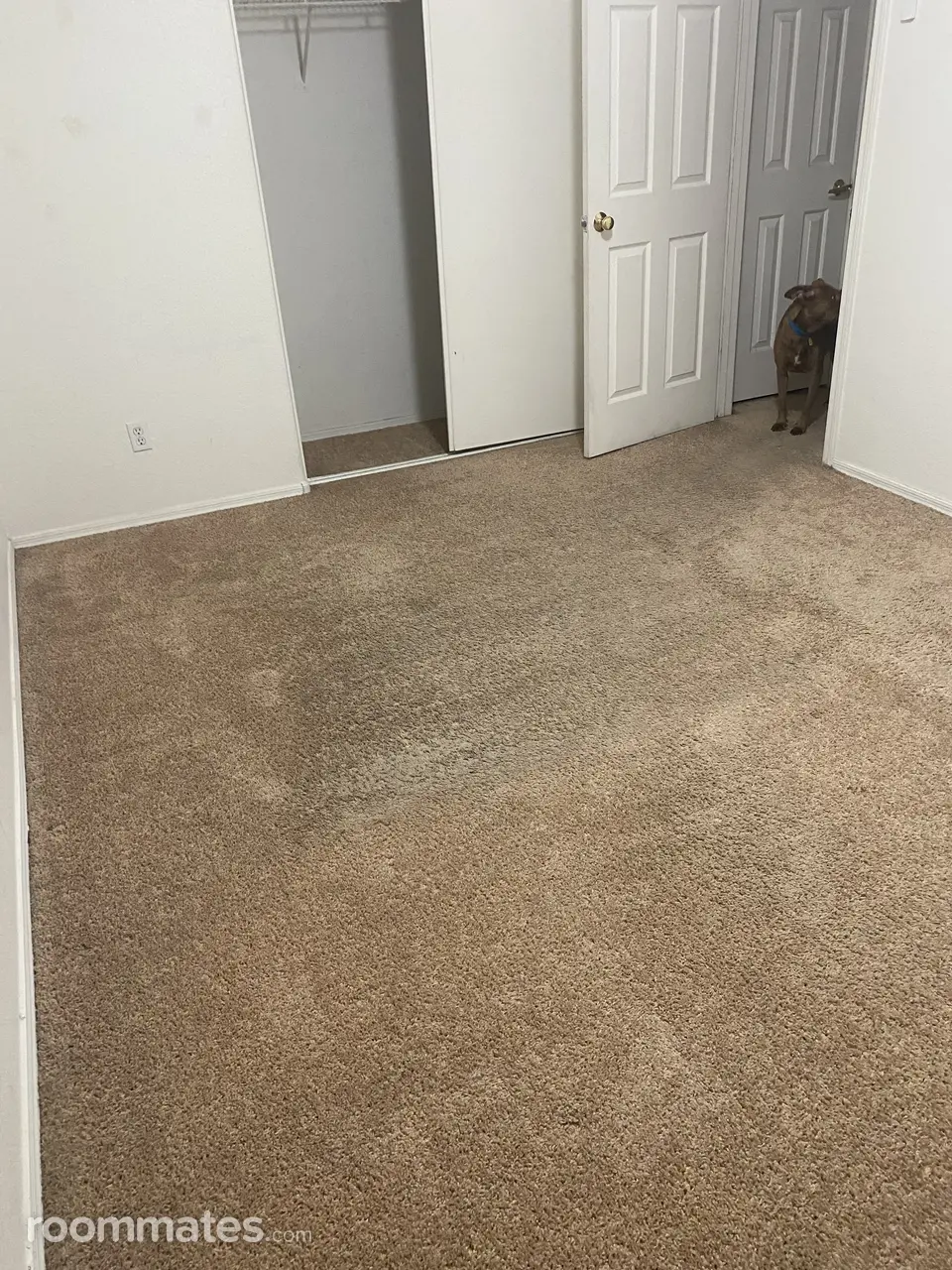 Profile photo 4 of 5