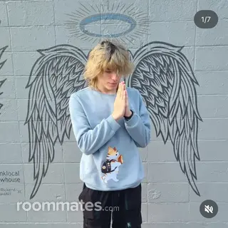 Roommate looking Florence, KY, $600