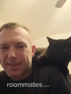 Roommate looking Joliet, IL, $1000