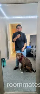 Roommate looking Denver, CO, $1200