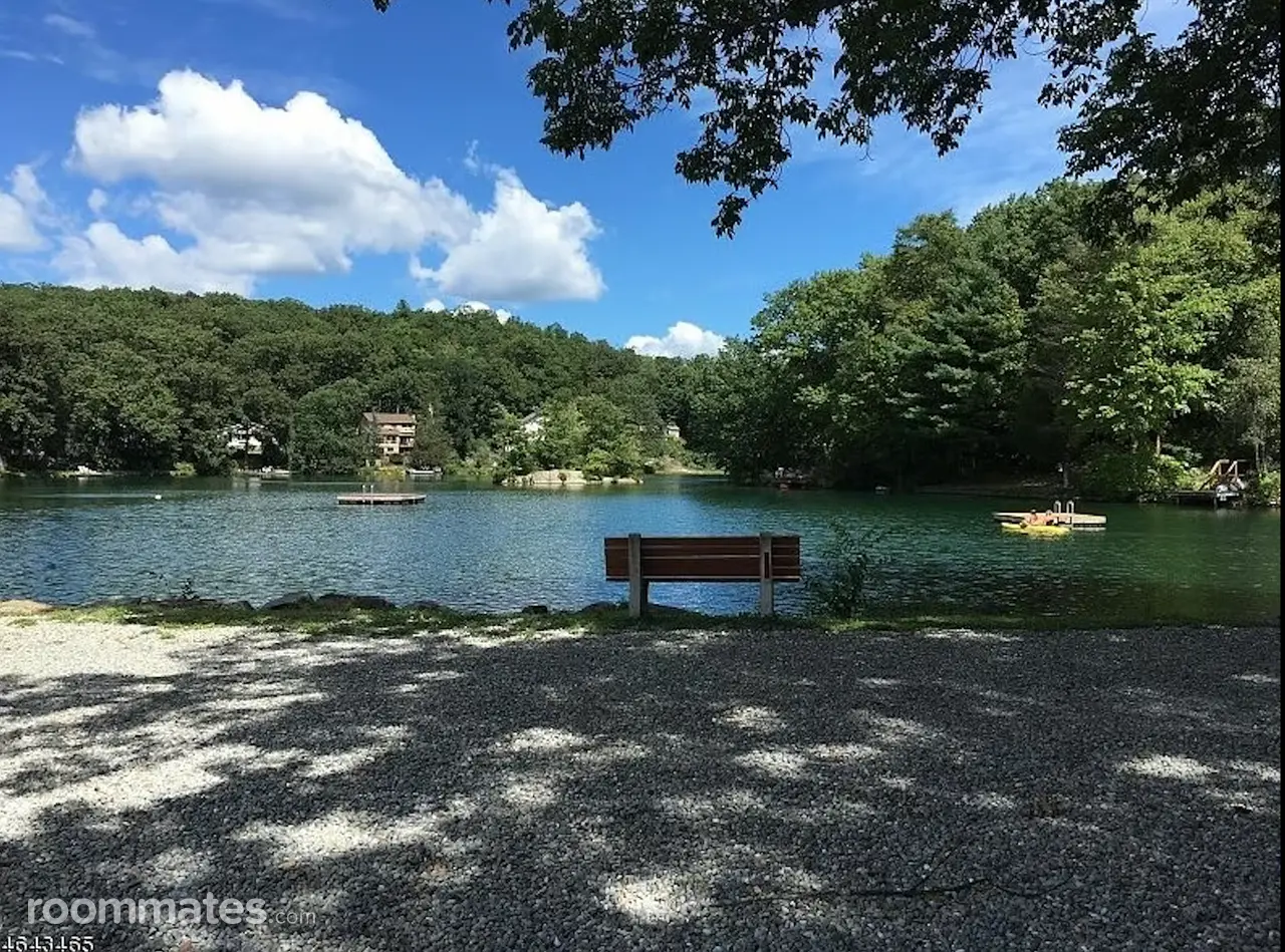 Profile photo 8 of 13