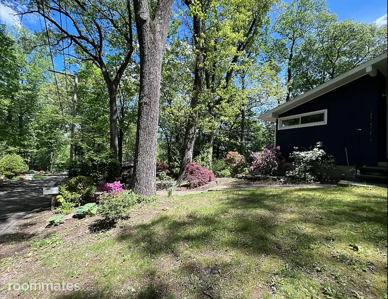 Profile photo 9 of 13