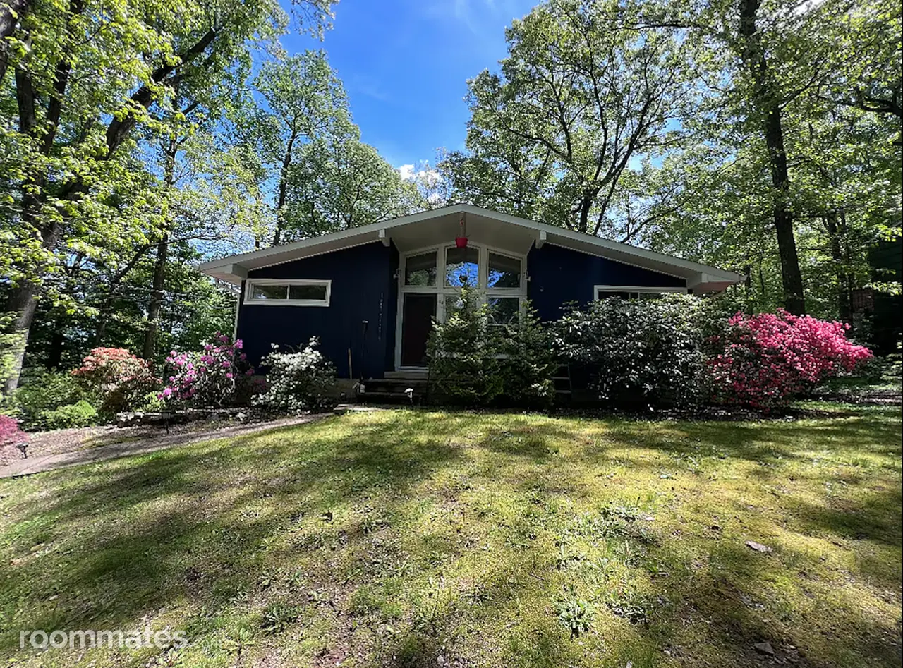 Profile photo 10 of 13