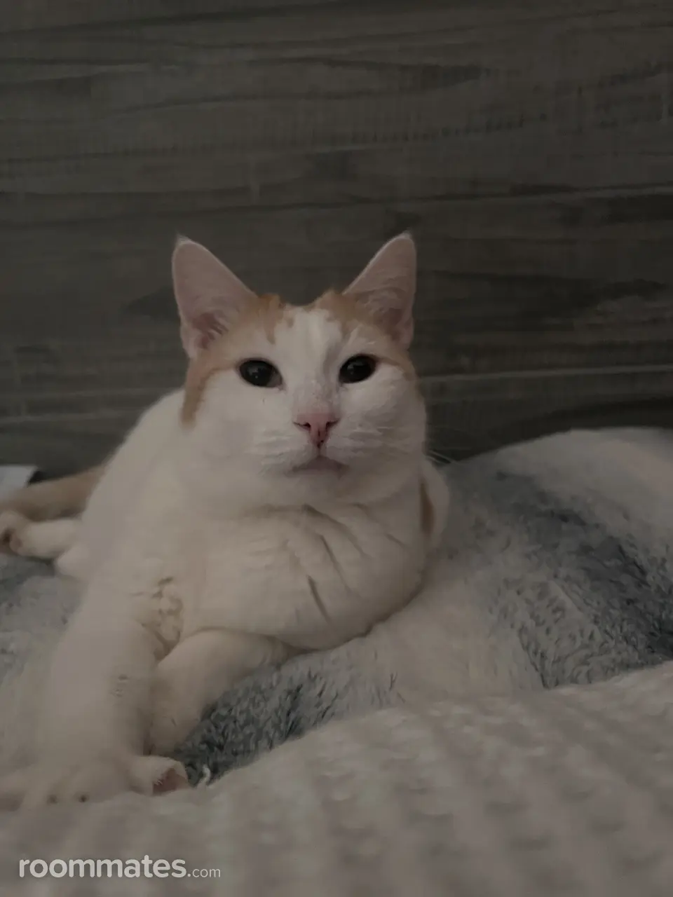 Profile photo 12 of 13