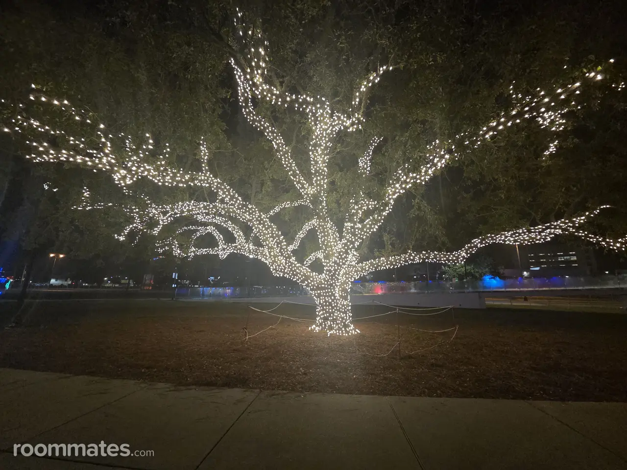 Profile photo 19 of 21