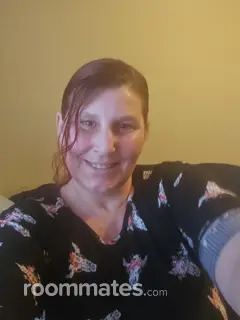 Roommate looking Spring Hill, FL, $800