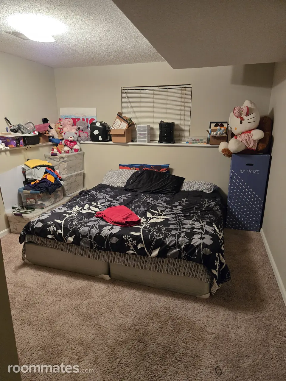 Profile photo 1 of 2