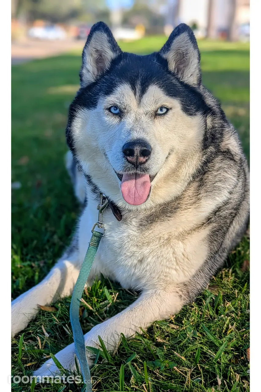 Profile photo 4 of 5