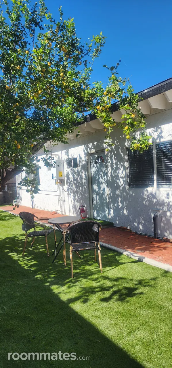 Profile photo 4 of 11