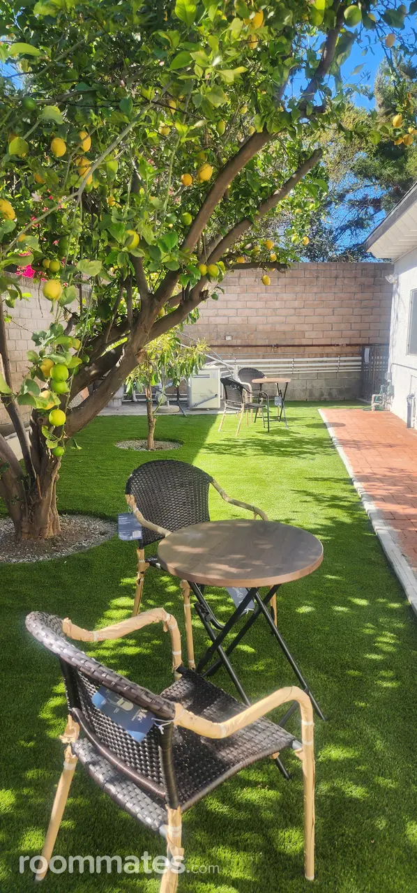 Profile photo 9 of 11