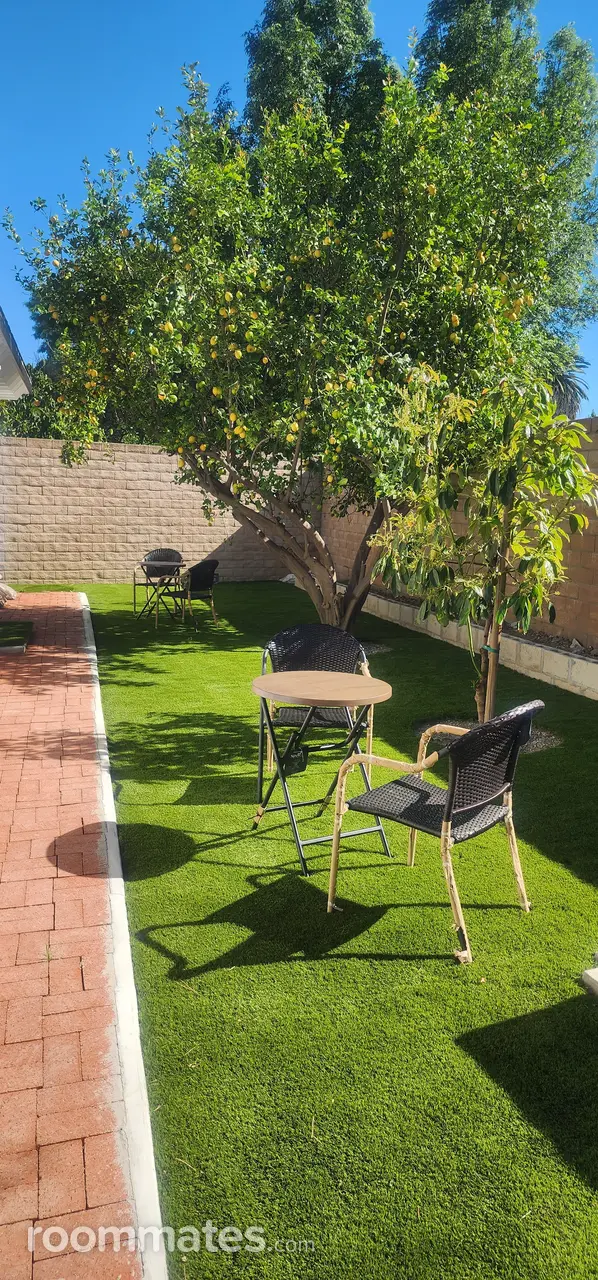 Profile photo 5 of 11