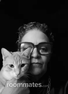 Roommate looking Houston, TX, $700