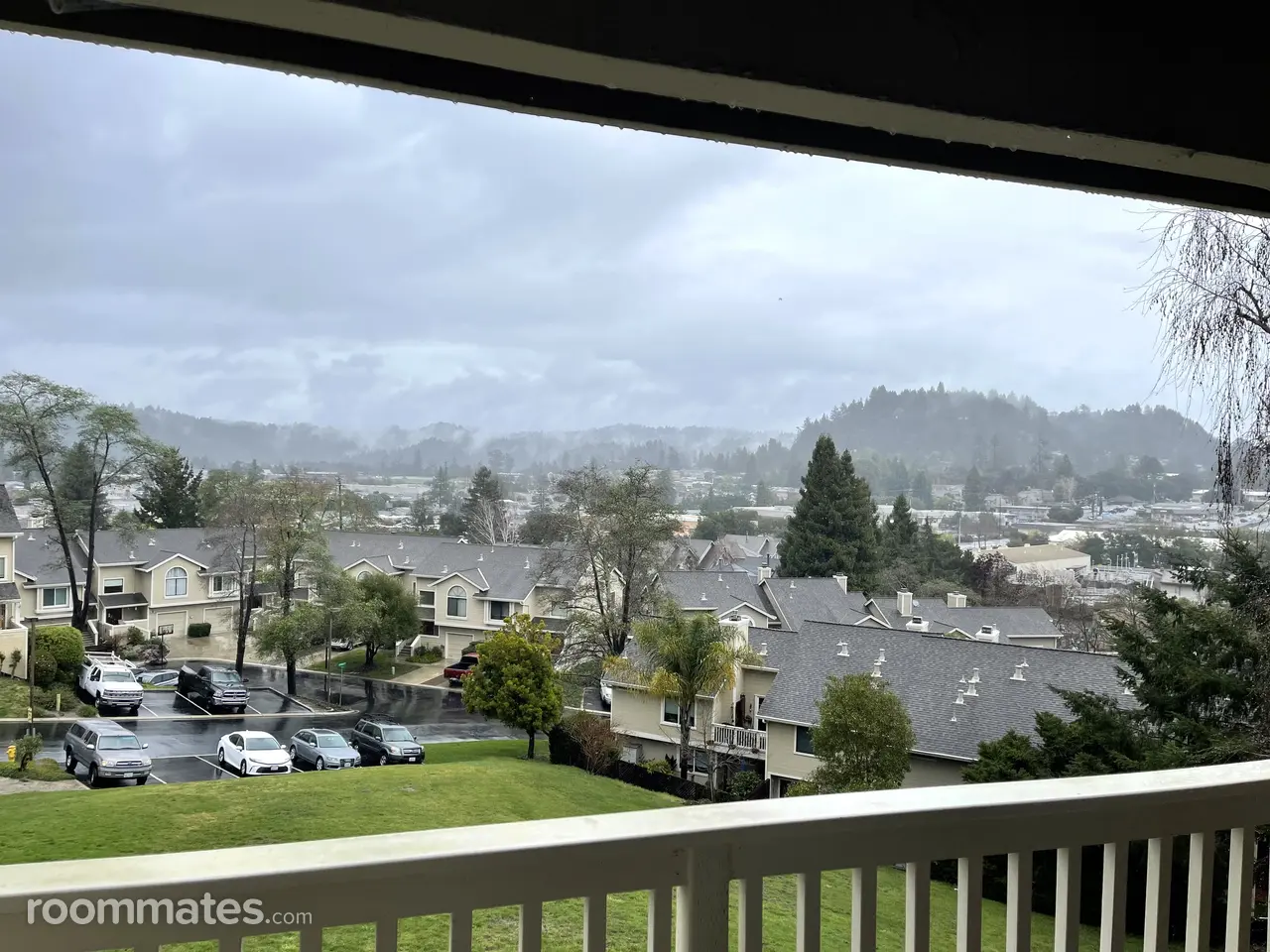 Profile photo 3 of 8