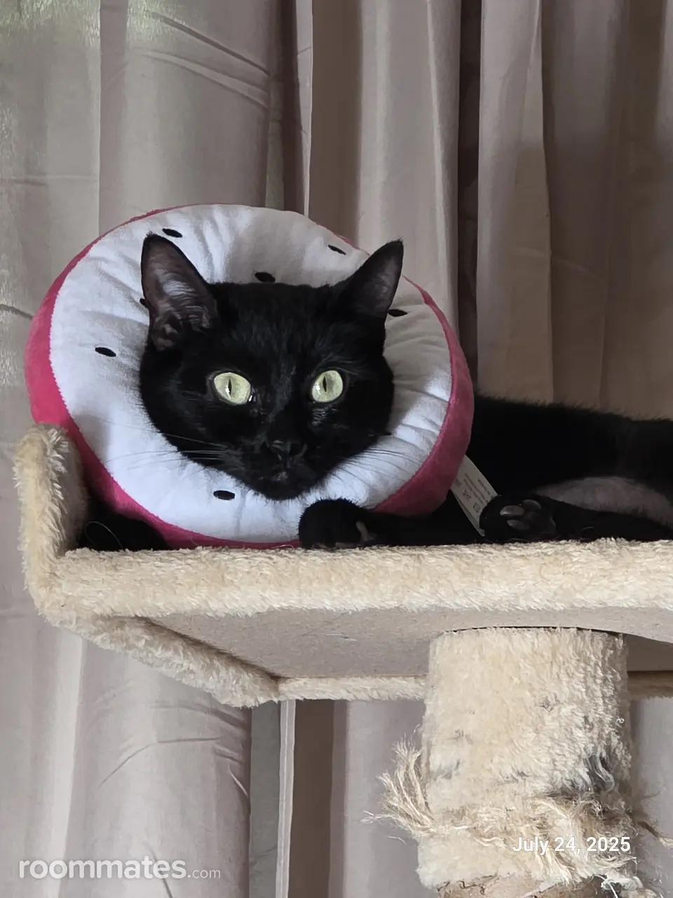 Profile photo 12 of 13