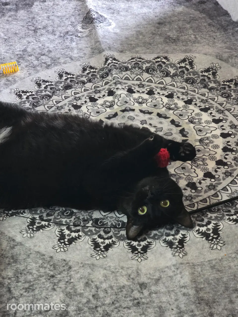 Profile photo 13 of 13