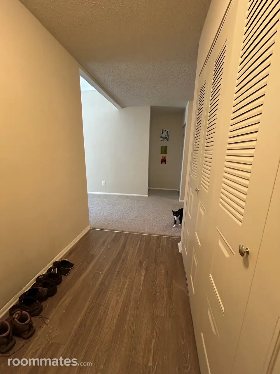 Profile photo 3 of 11