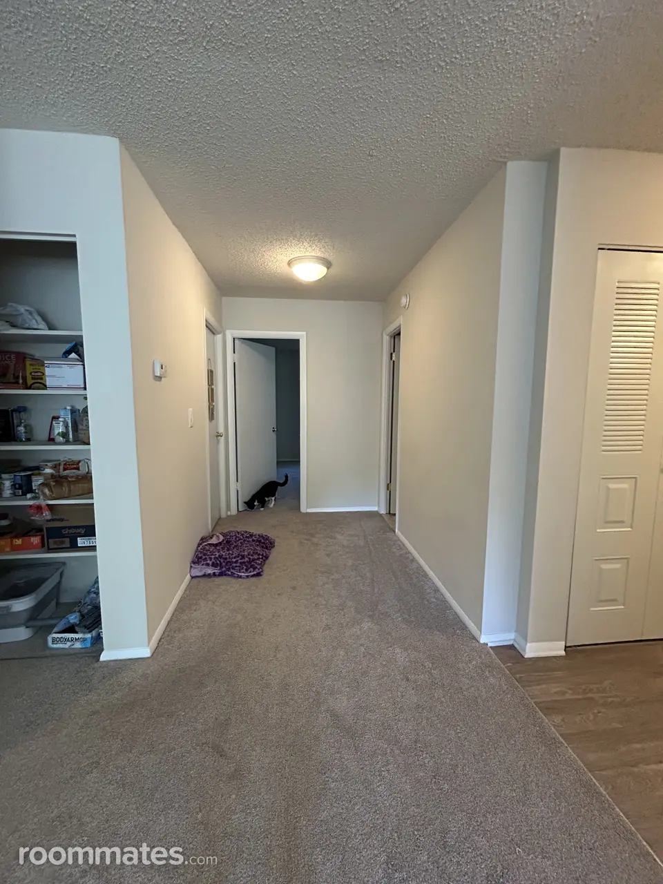 Profile photo 4 of 11